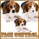 ������ - facecontrol