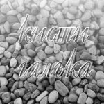 ����� - ������